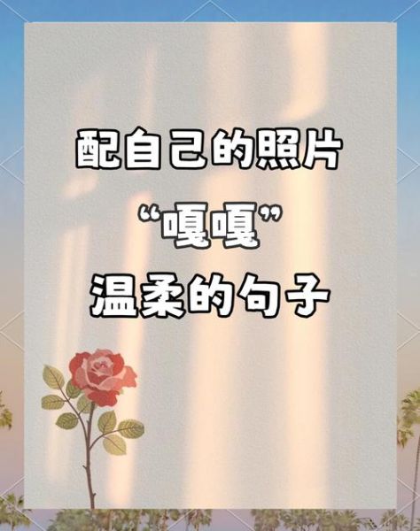 如何委婉表达情感语录_有哪些温柔句子