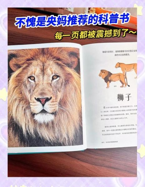 DK动物百科适合几岁读_如何高效做读书笔记