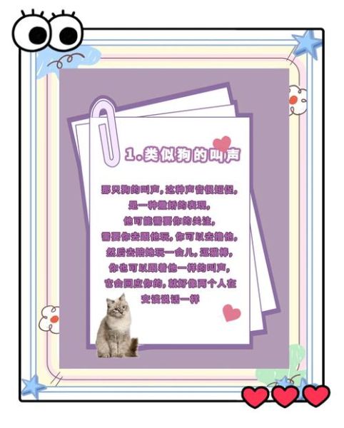 猫咪如何表达情感_猫咪爱你的表现有哪些