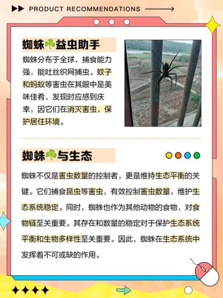 蜘蛛会表达情感吗_蜘蛛如何传递情绪信号