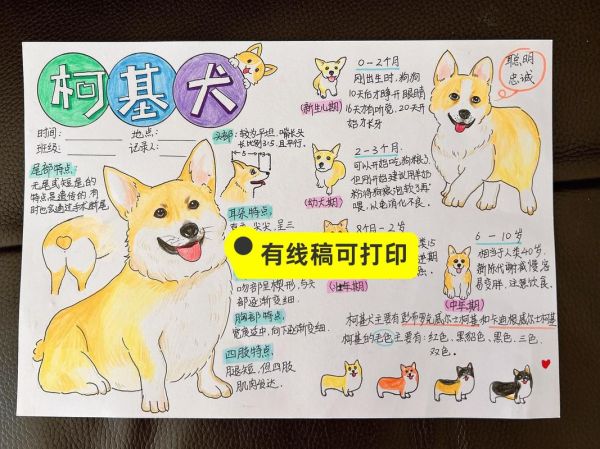 动物百科读书笔记怎么写_动物百科读书笔记模板