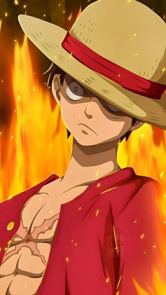 路飞会读书吗_海贼王路飞识字水平解析