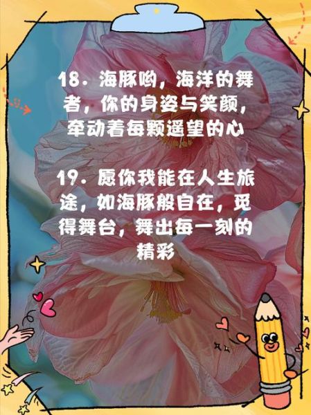 海豚花园如何表达情感_海豚花园治愈文案怎么写