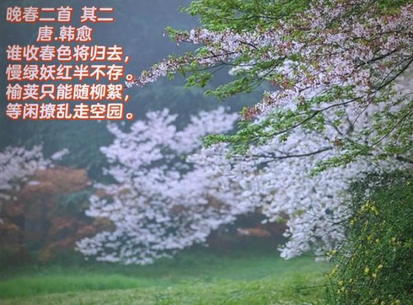 晚春表达的情感是什么_如何理解晚春的淡淡哀愁
