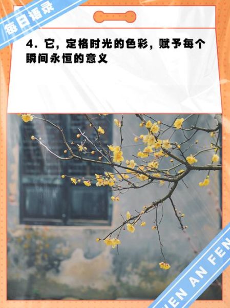 情感色彩表达什么_如何写出打动人心的文案