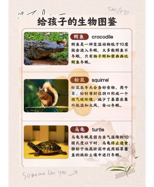 动物为什么冬眠_冬眠动物有哪些