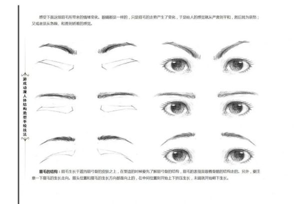 眉毛怎么表达情绪_眉毛动作含义解析